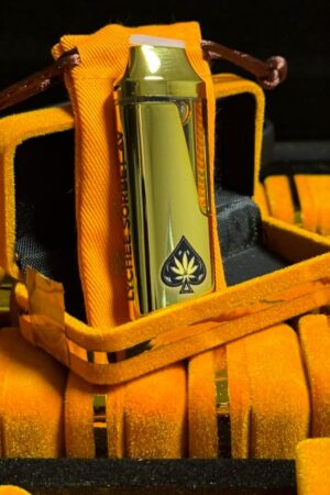 Ace Ultra Premium 2 g Disposable (Orange Edition)